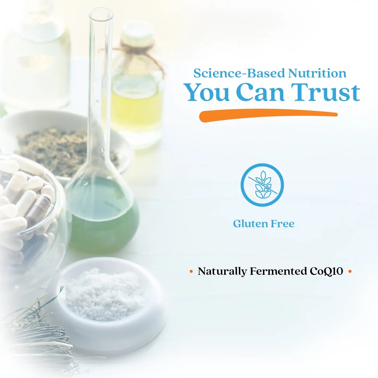 doctorsbestcare.it.com