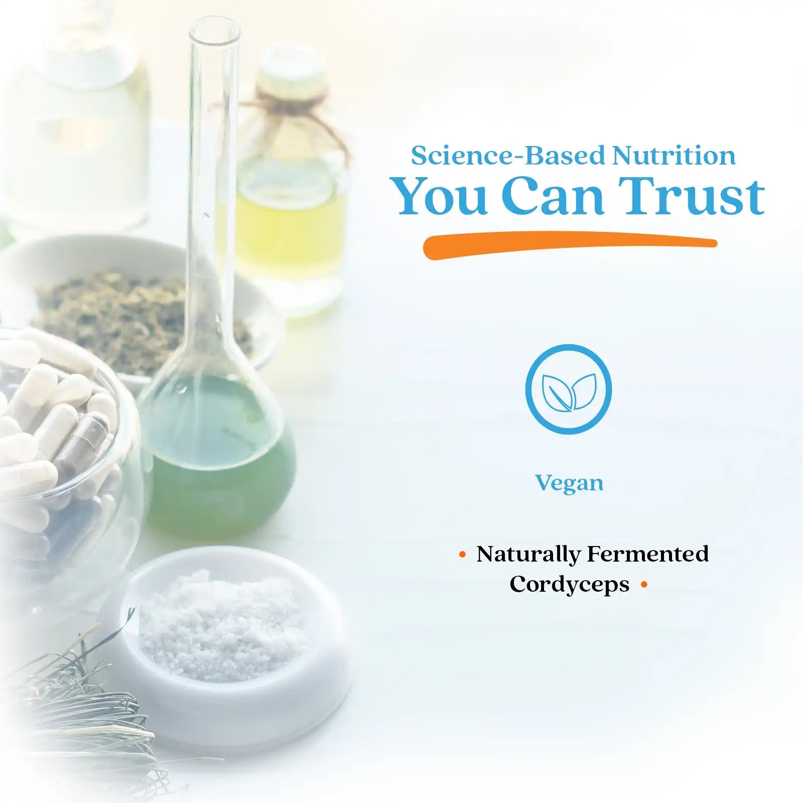 doctorsbestcare.it.com