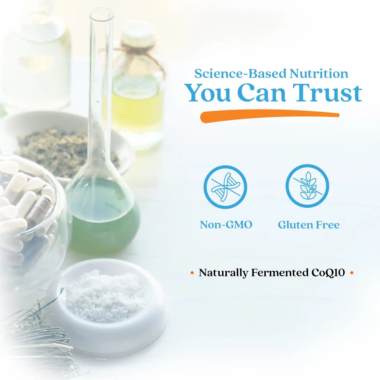 doctorsbestcare.it.com