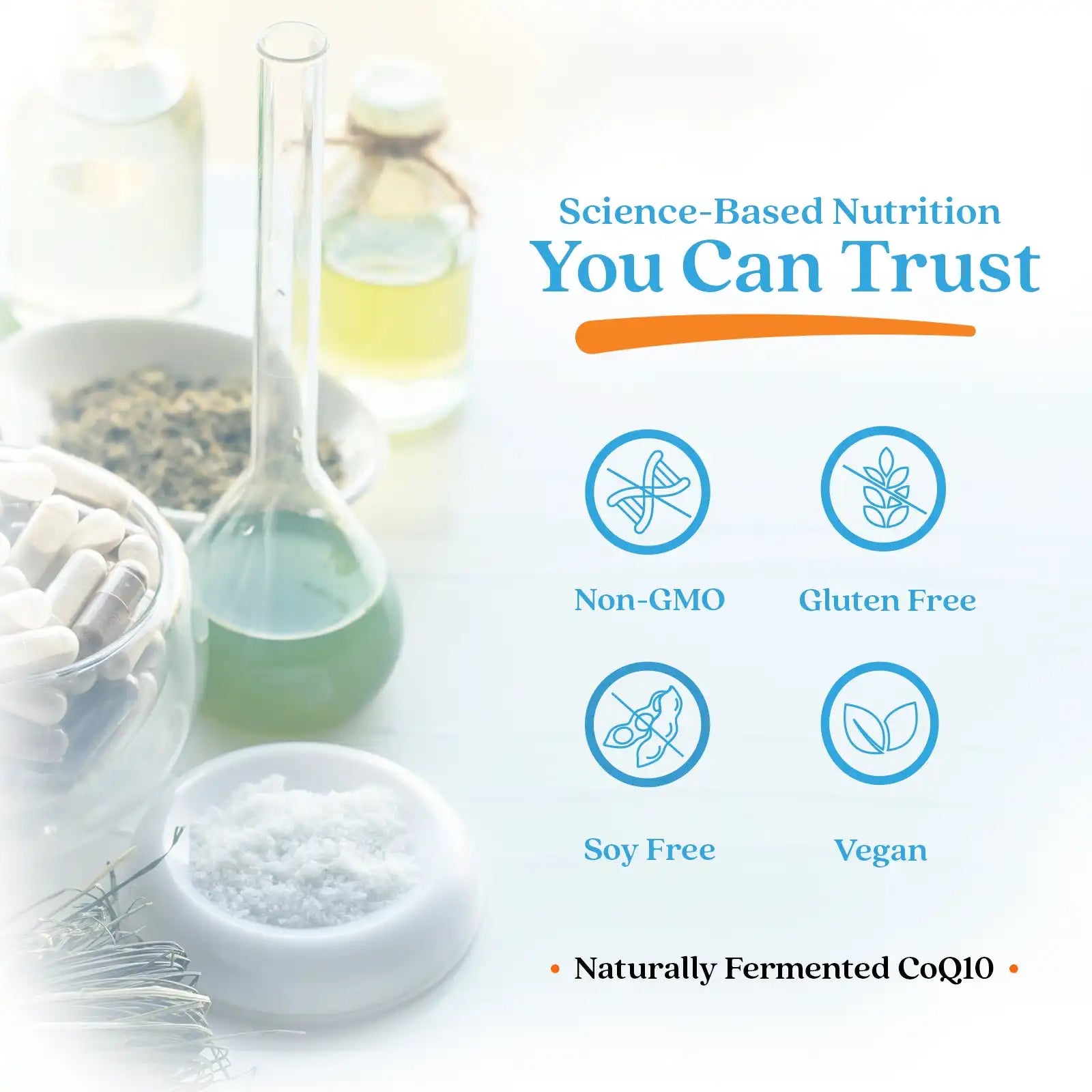 doctorsbestcare.it.com