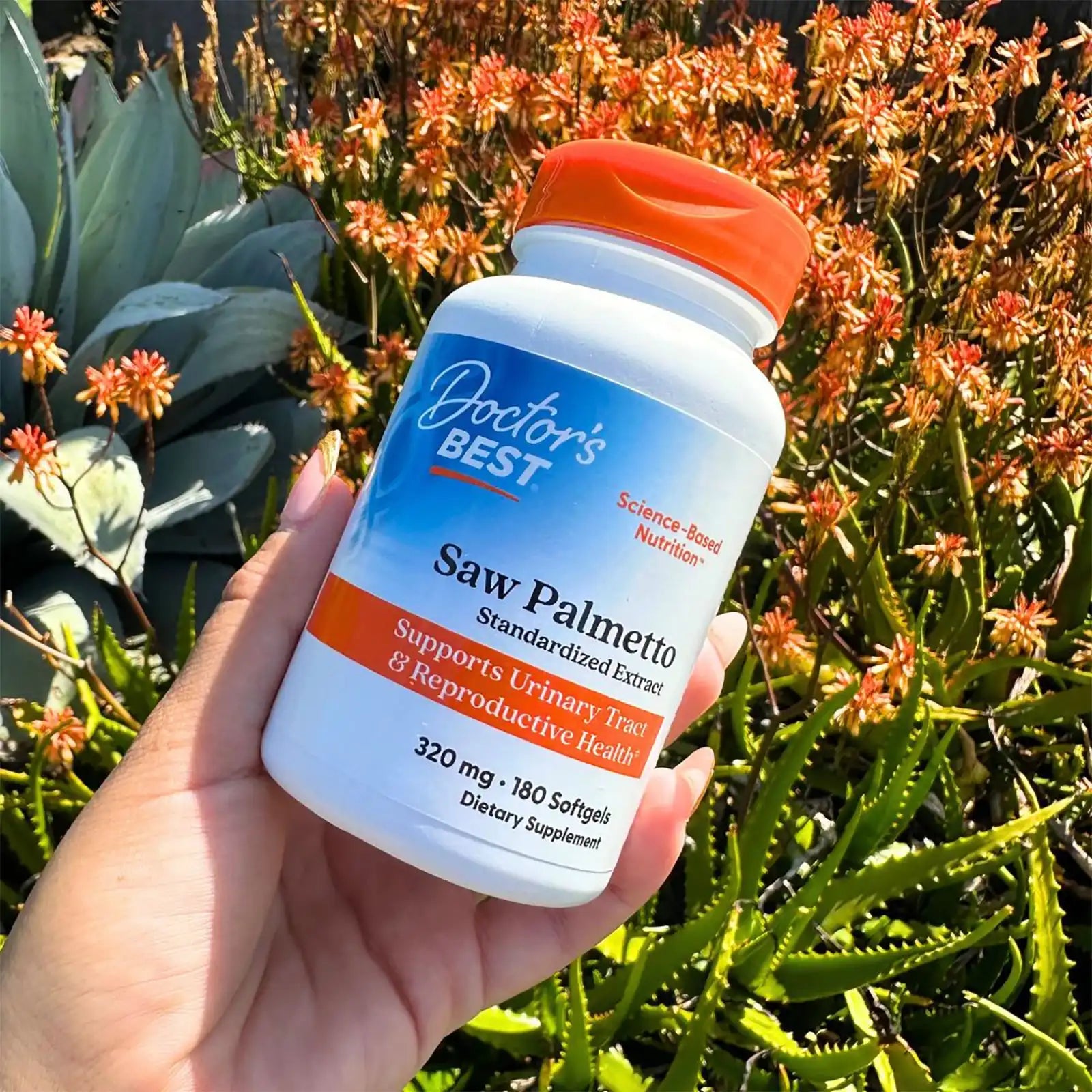 doctorsbestcare.it.com