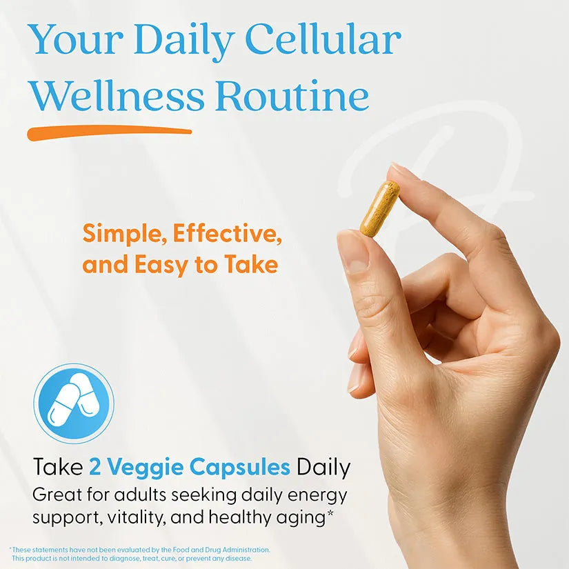 doctorsbestcare.it.com