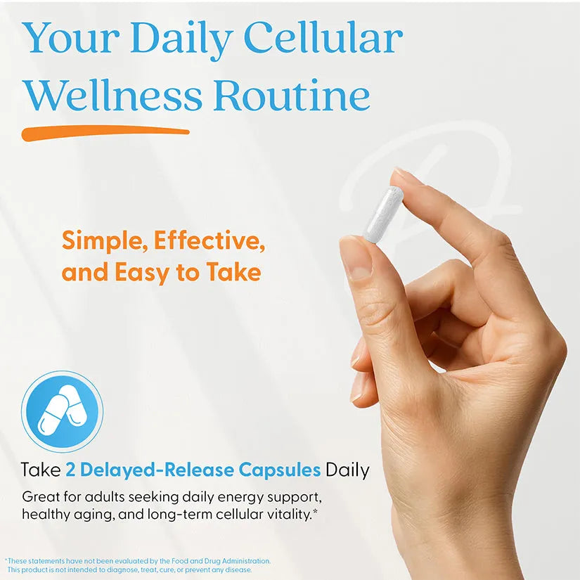 doctorsbestcare.it.com