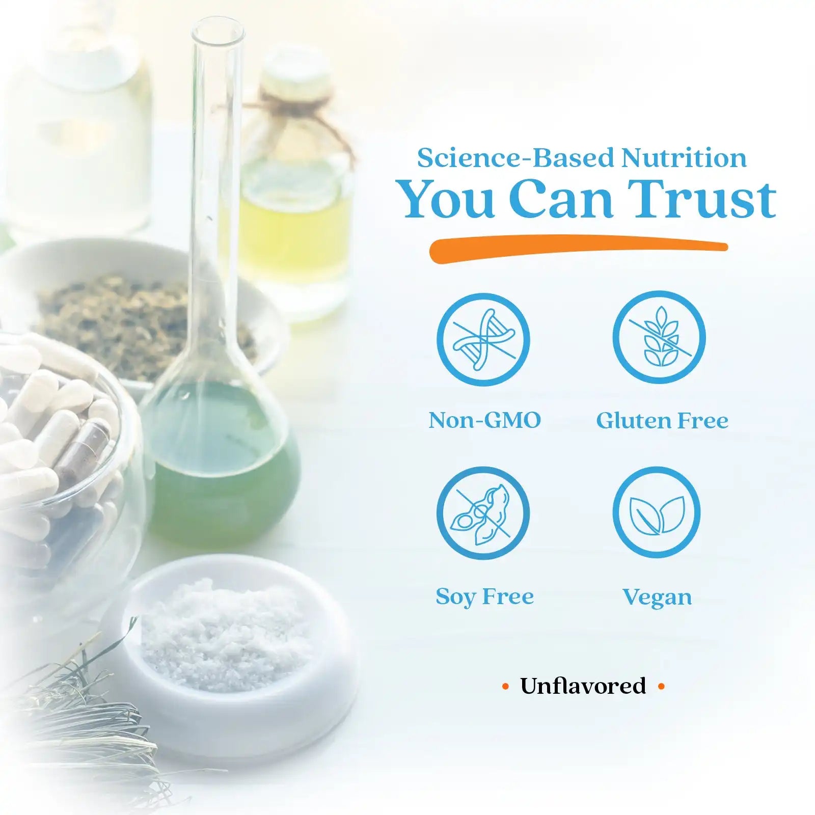 doctorsbestcare.it.com
